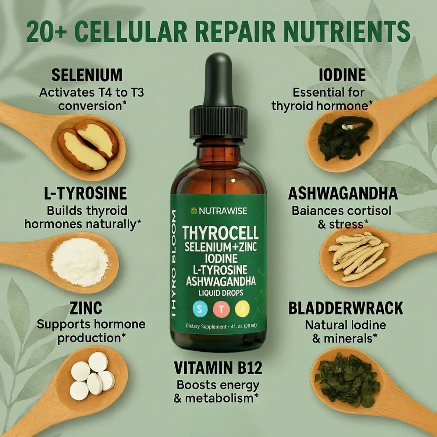 ThyroCell - Cellular Energy Repair for Hashimoto's