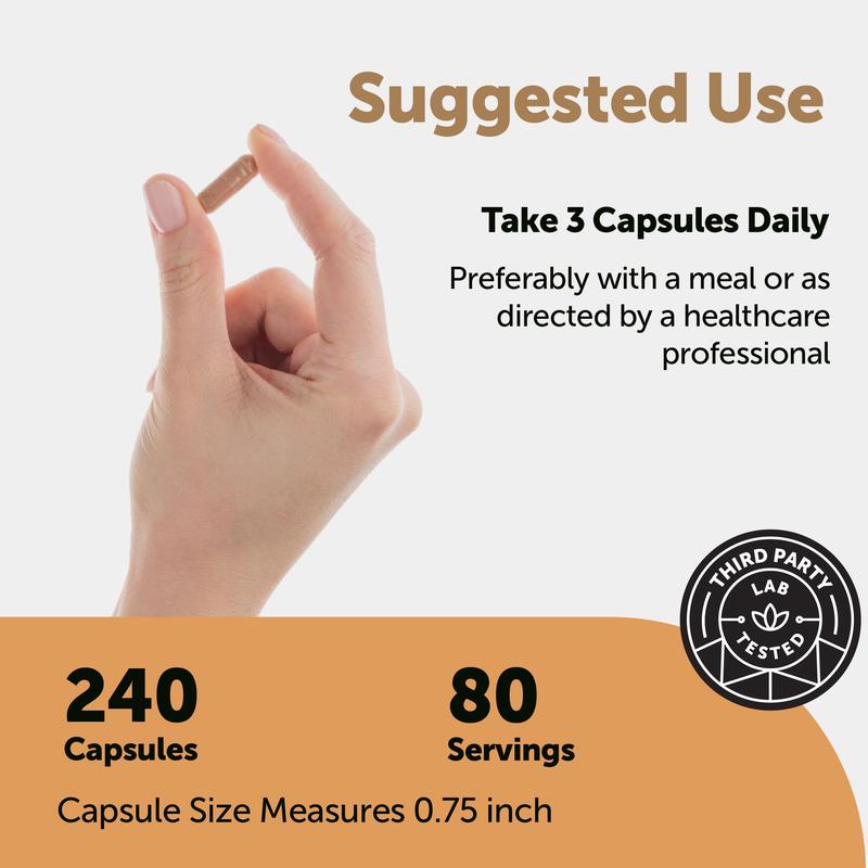 Nattokinase 10,000FU Complex, 90 Vegetarian Capsules